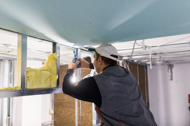 Best Eco-Friendly Insulation in Chalco, NE